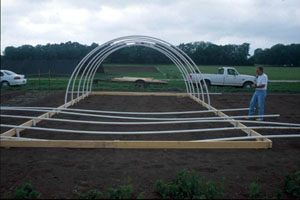Figure 4. Hoops being placed in ground posts.