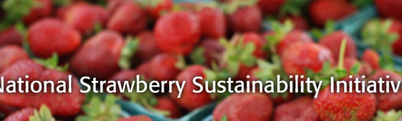 Moving the Needle, Accomplishments of the National Strawberry Sustainability Initiative 2013 – 2014