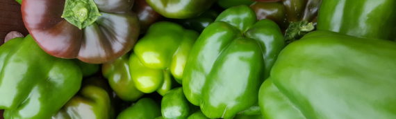 2016 Evaluation of Hybrid Bell Pepper Varieties for High Tunnel Production in Kansas