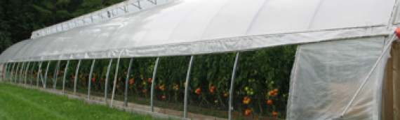 Natural Ventilation in High Tunnels