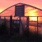 Growing Under Cover: A Guide to Polytunnel Options for Kansas Growers