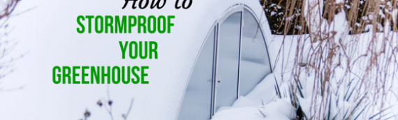 How To Reduce Storm Damage To Your Greenhouse and High Tunnel