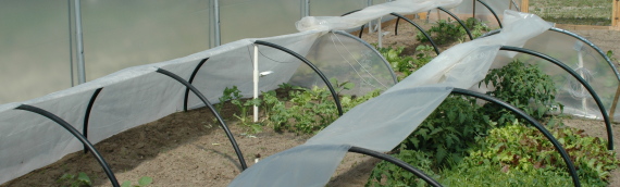 Organic Vegetable Production Systems, Certification of Organic Farming Systems