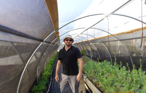 Producer Will Mastin inside high tunnels modified with 50 perent shade cloth on sidewalls to exclude insect pests.
