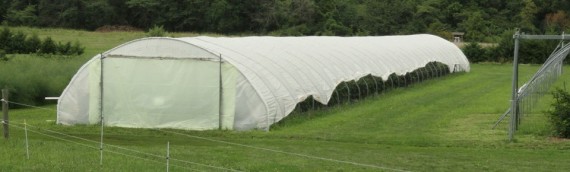 Types of High Tunnels – Terminology