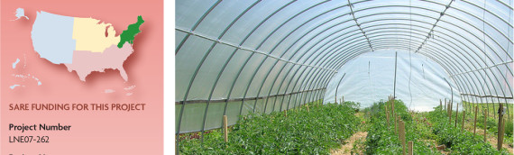 Sustainable Pest Management in Greenhouses and High Tunnels