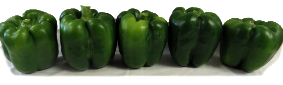 2015 Evaluation of Hybrid Bell Pepper Varieties for High Tunnel Production in Kansas