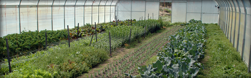 Marketing & Economics