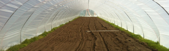 Soil Management in High Tunnels