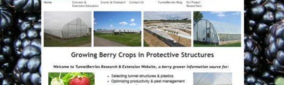 Growing Berry Crops in Protective Structures